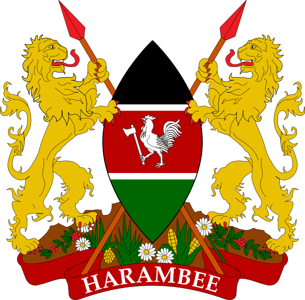 Cheapest IPTV Plan in Kenya